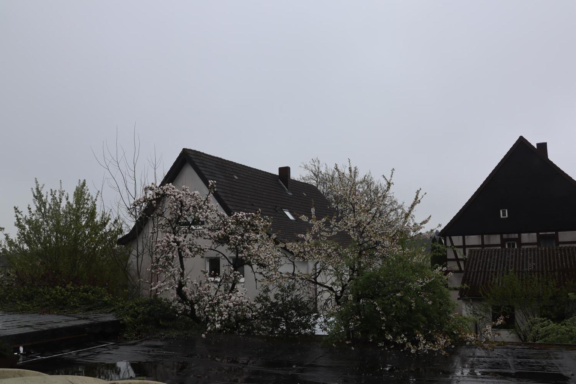 Hotel Haarener Hof Bad Wünnenberg Exterior foto